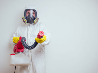 About BHR Chester - bee hive relocation experts in Chester